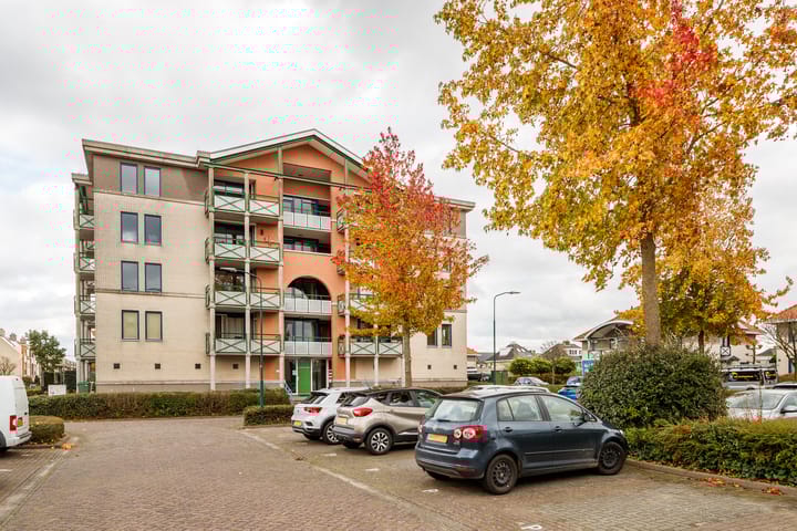 Photo 3 of Romulus 76