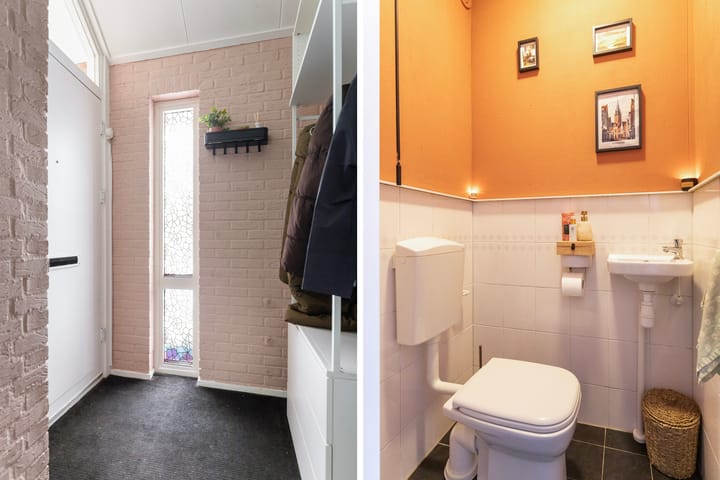 Photo 4 of Meerkoet 56