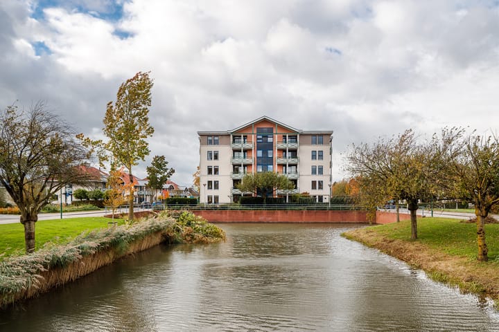 Foto 30 van Romulus 76