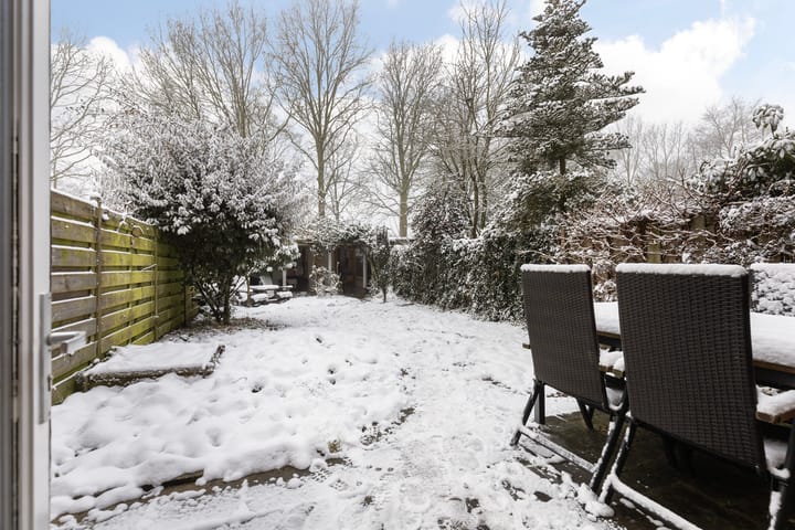 Foto 13 van Meerkoet 56