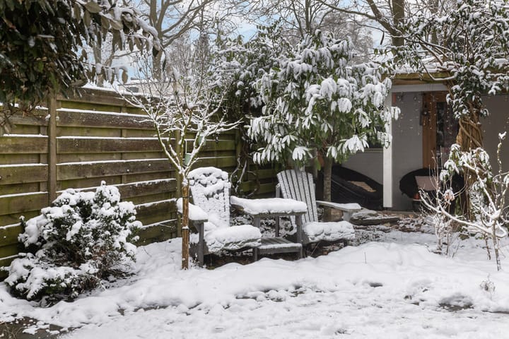 Foto 24 van Meerkoet 56