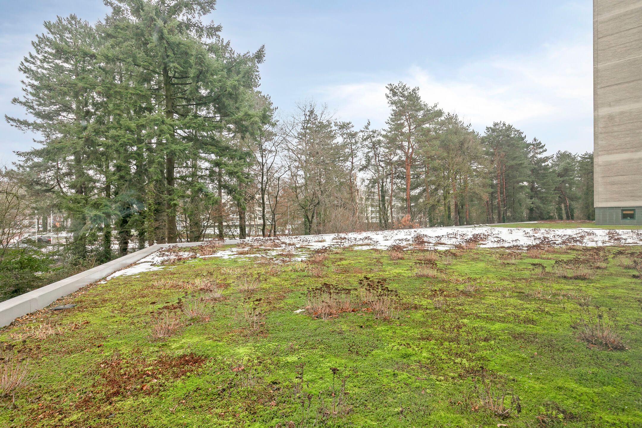 Foto 18 van Magentahof 39