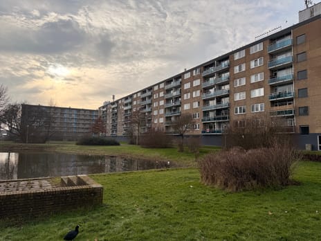 Plutostraat thumbnail