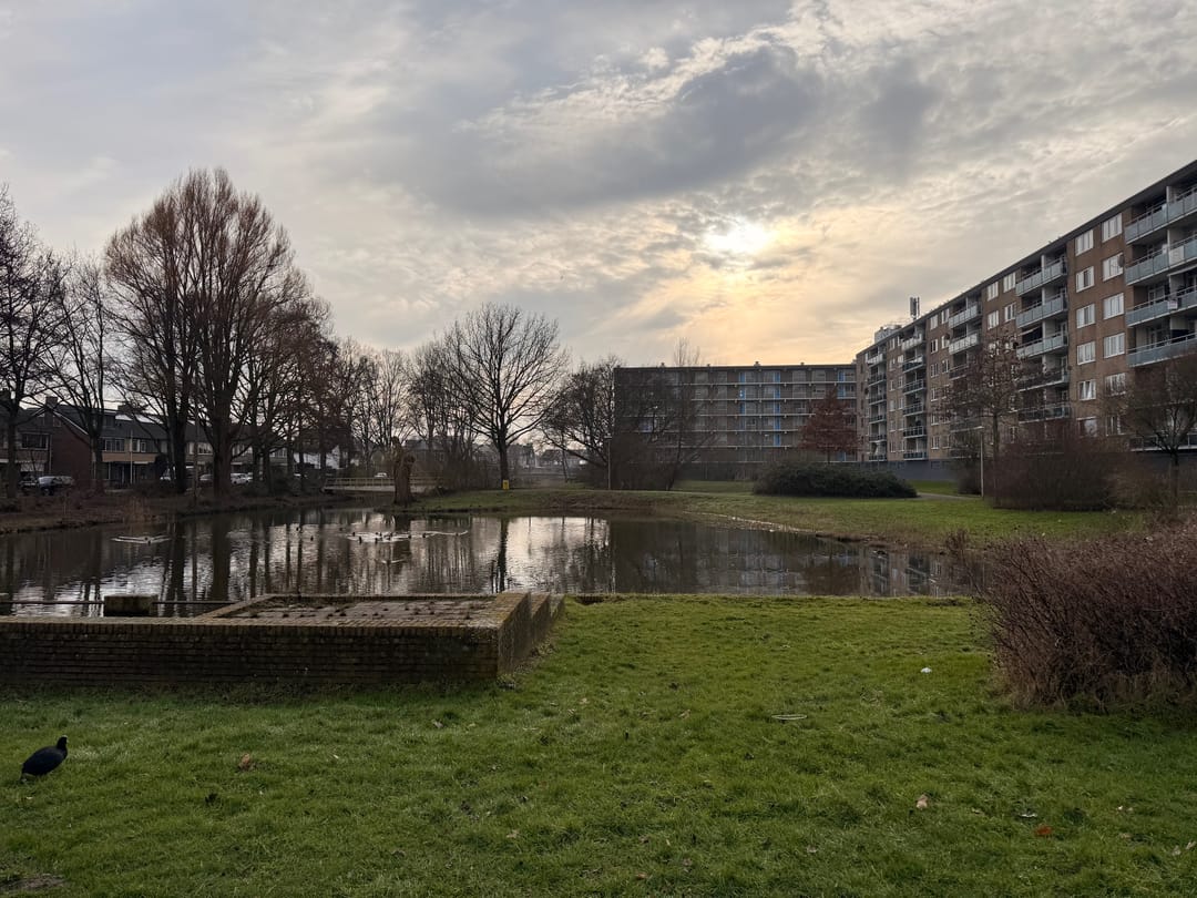 Foto 17 van Plutostraat 358