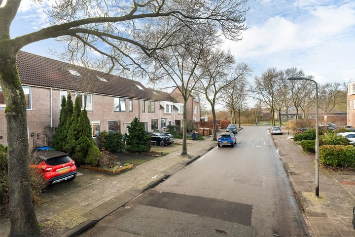 Foto 29 van Kingmastate 43