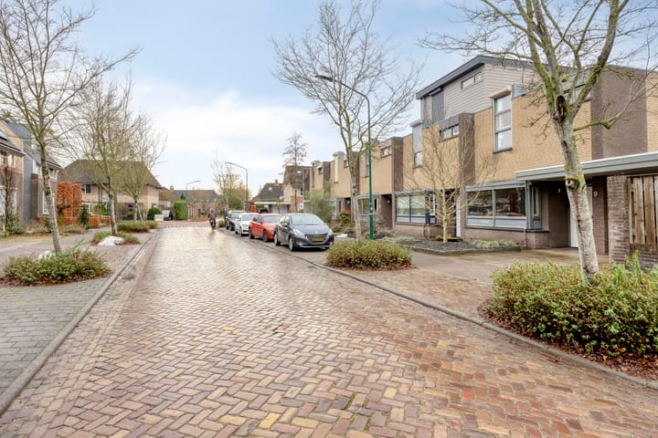 Foto 50 van De Streepen 9