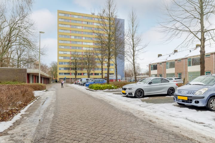 Foto 5 van Boeierstraat 219