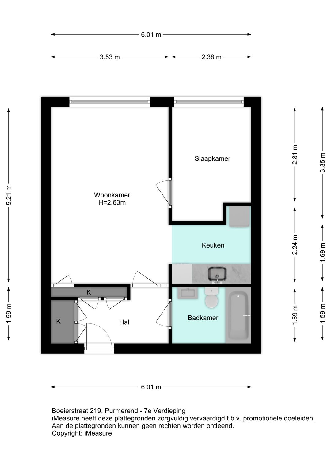 Foto 38 van Boeierstraat 219
