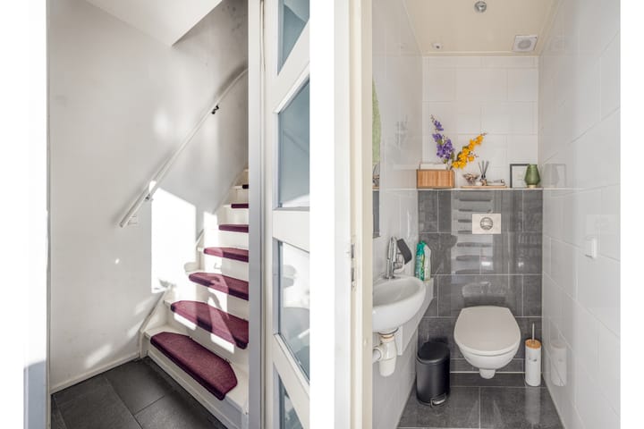 Foto 12 van Koolmees 59