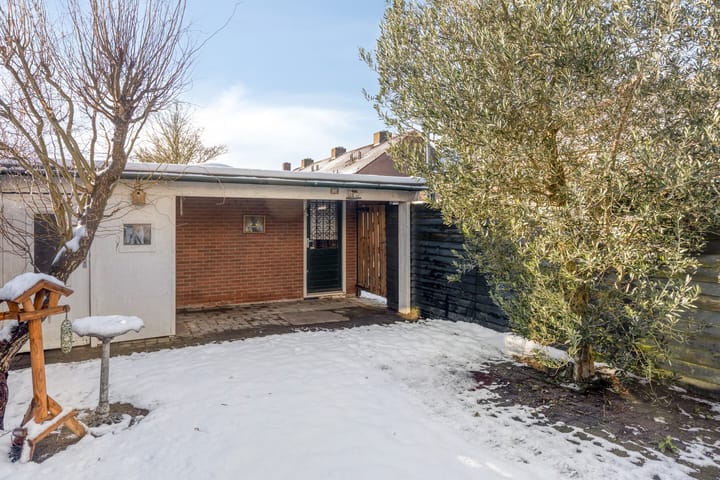 Foto 6 van Koolmees 59