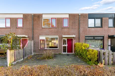 undefined main image