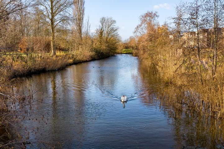 Foto 35 van Kornwierde 94