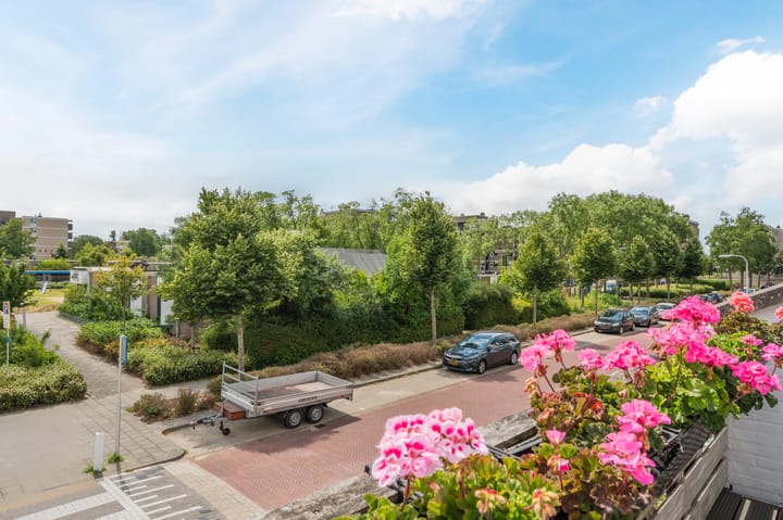 Foto 4 van Pioenhof 22