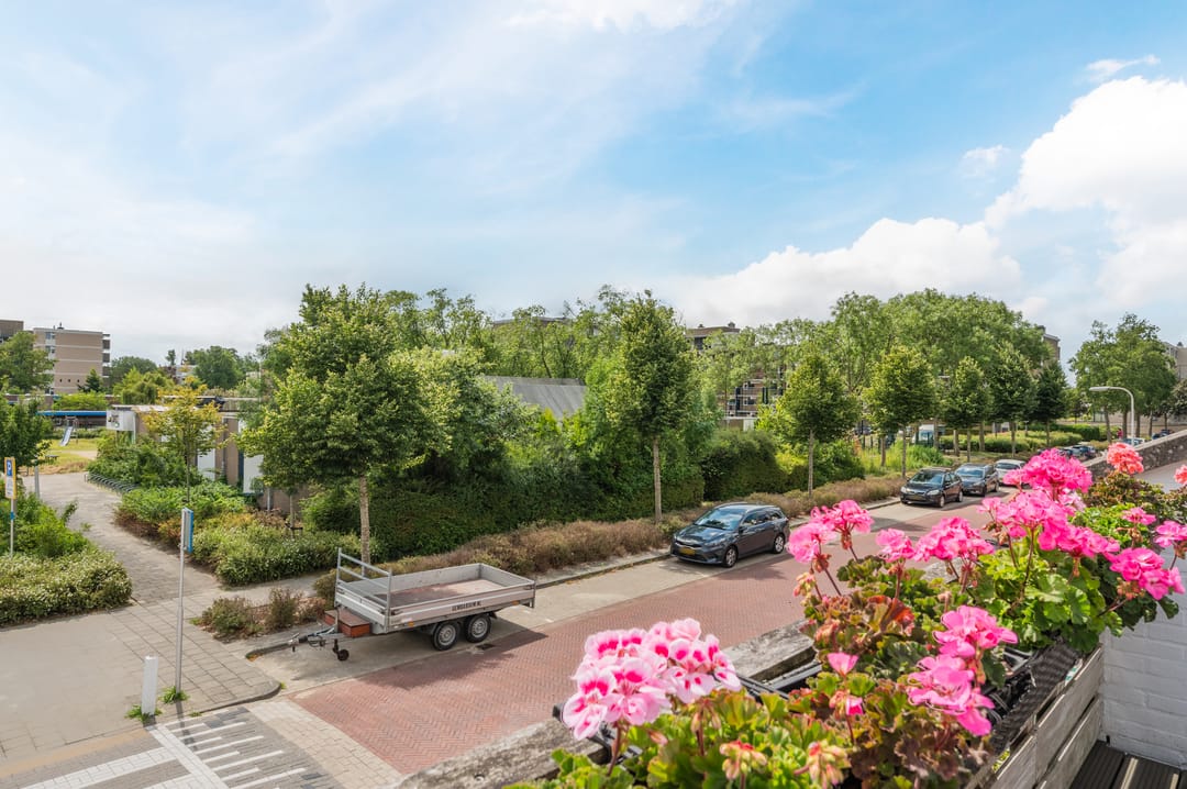 Foto 32 van Pioenhof 22