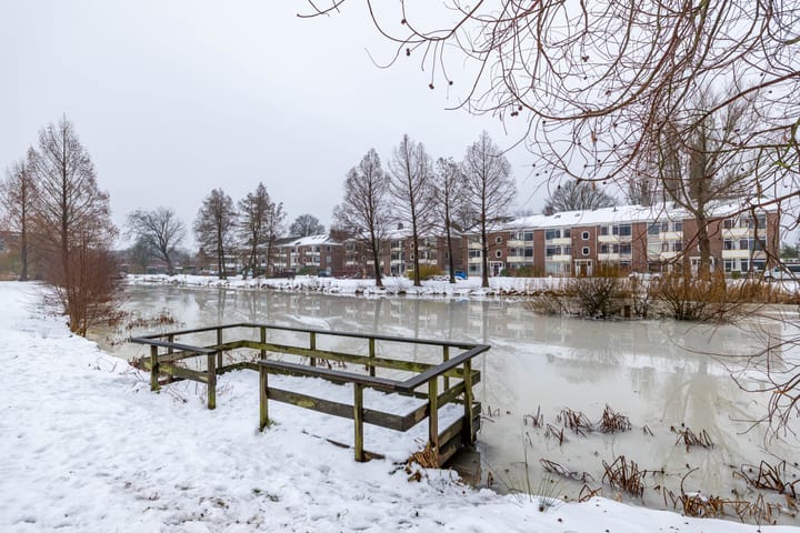 Foto 2 van Oosterpark 65