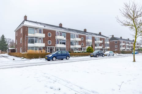 Oosterpark 65 tertiary image