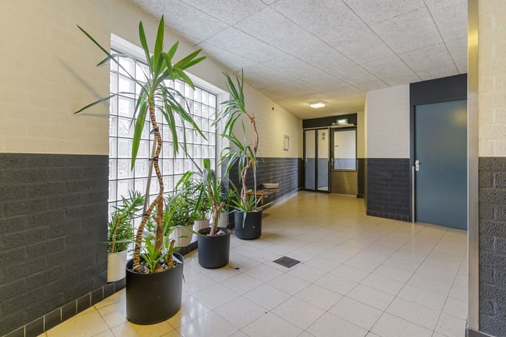 Foto 26 van Wadden 32