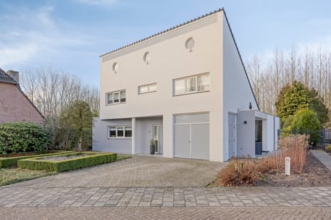 Bloedkoraal thumbnail