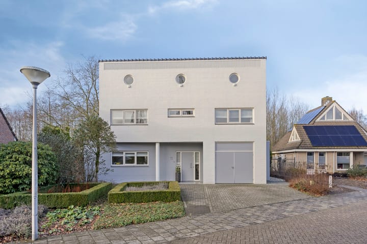 Foto 2 van Bloedkoraal 11