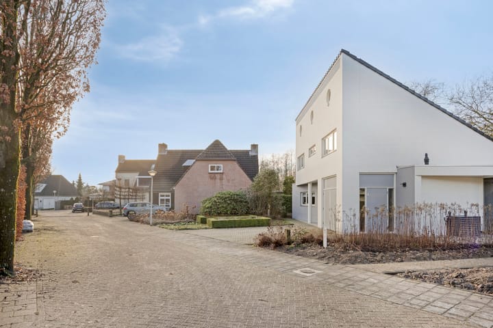 Foto 3 van Bloedkoraal 11