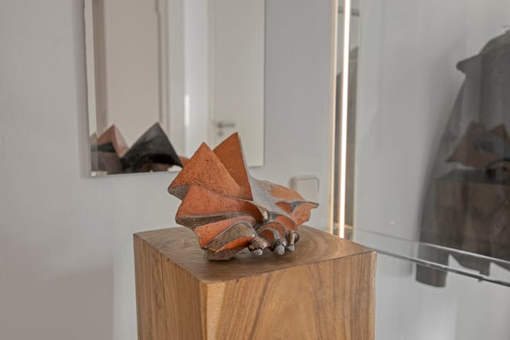 Foto 6 van Bloedkoraal 11