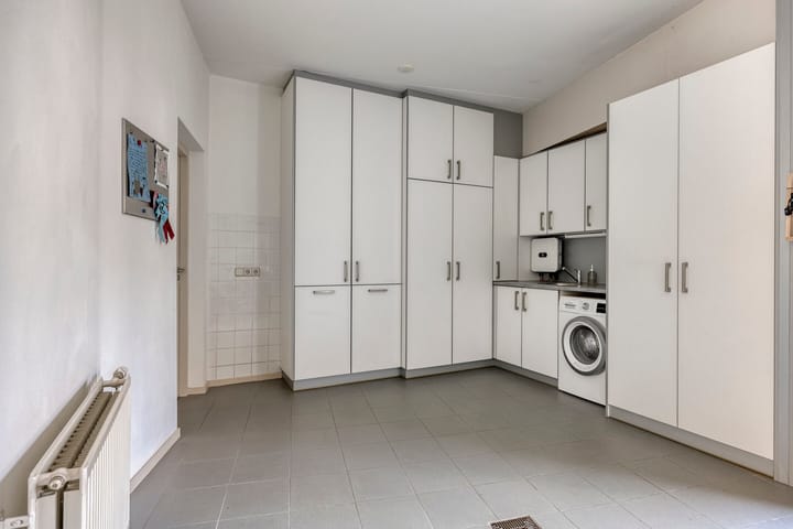 Foto 21 van Bloedkoraal 11