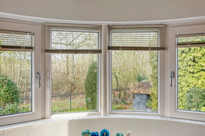 Foto 31 van Bloedkoraal 11