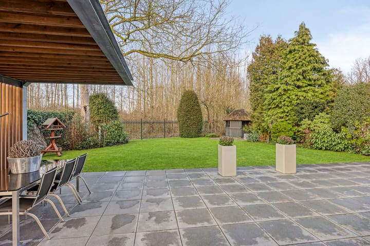 Foto 33 van Bloedkoraal 11