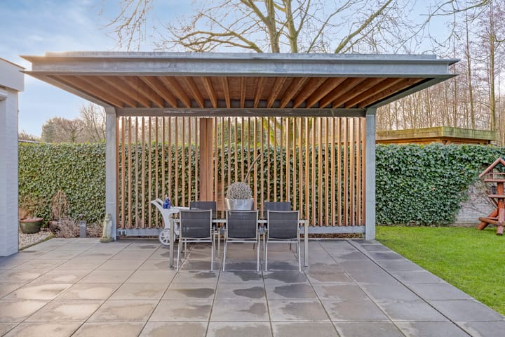 Foto 35 van Bloedkoraal 11