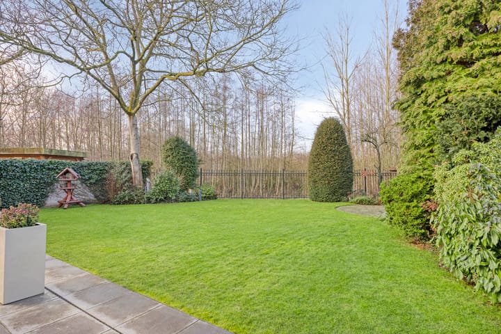 Foto 36 van Bloedkoraal 11