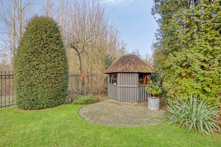 Foto 37 van Bloedkoraal 11