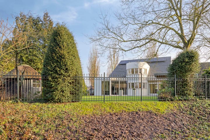 Foto 40 van Bloedkoraal 11