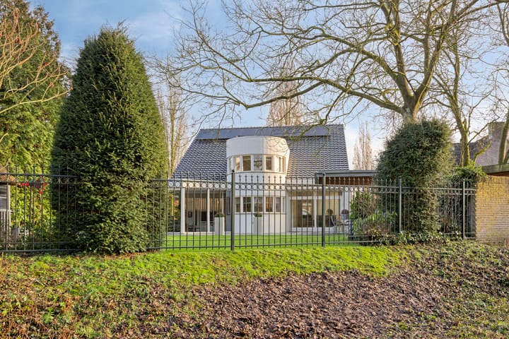 Foto 41 van Bloedkoraal 11