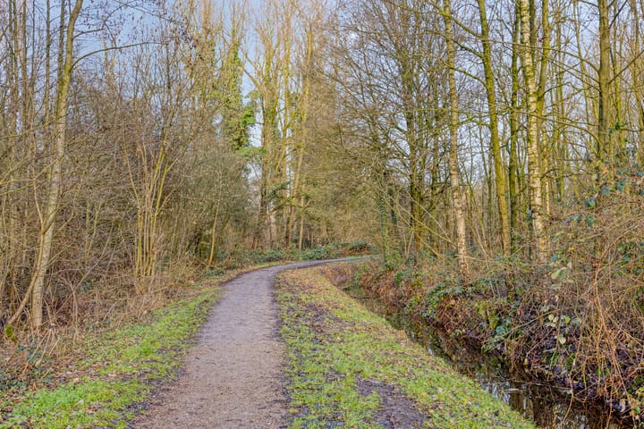 Foto 42 van Bloedkoraal 11