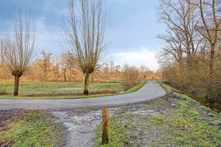 Foto 43 van Bloedkoraal 11