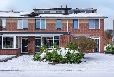 Daan Brouwerlaan thumbnail