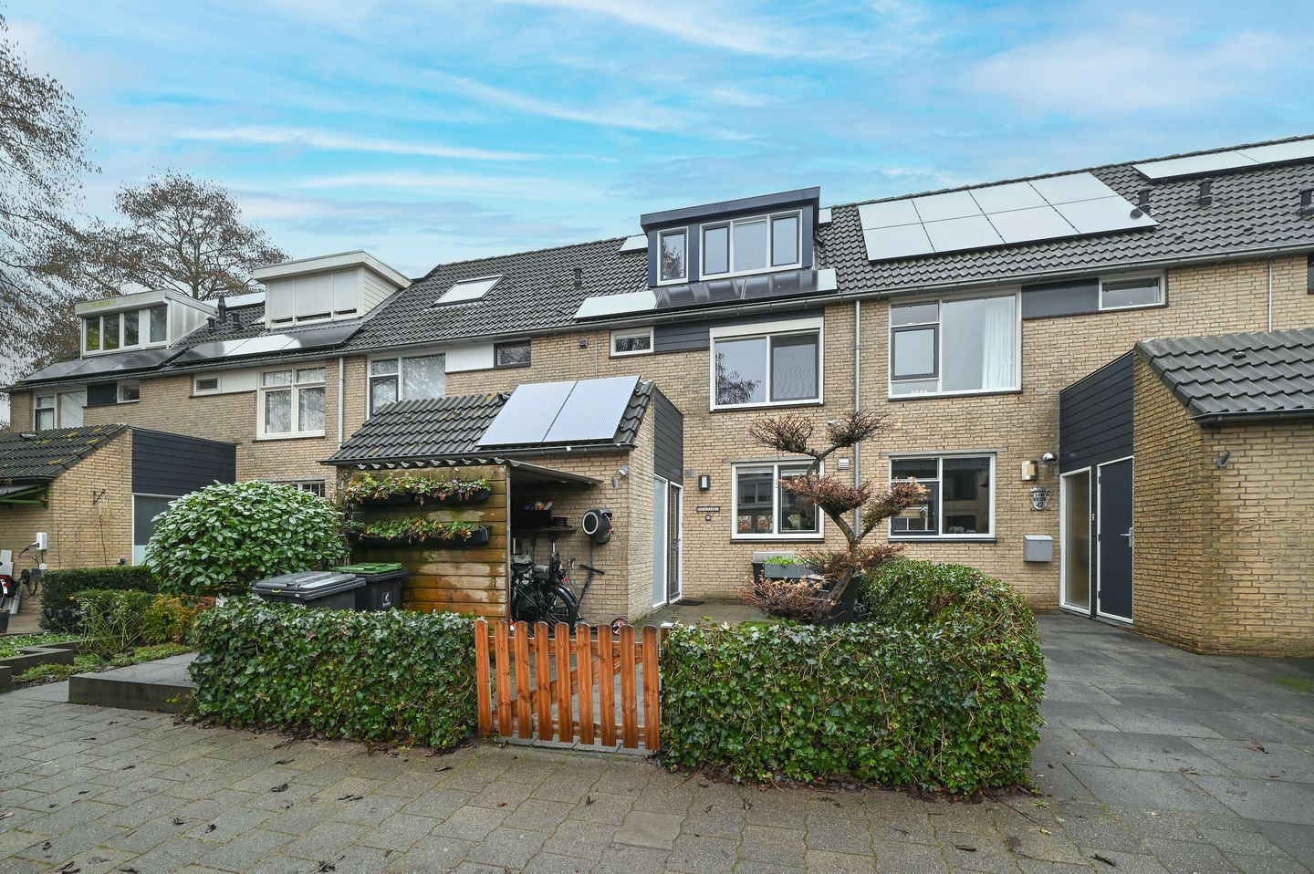 Foto 1 van Raaigras 44