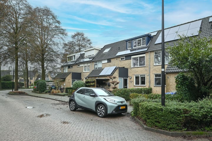 Foto 39 van Raaigras 44