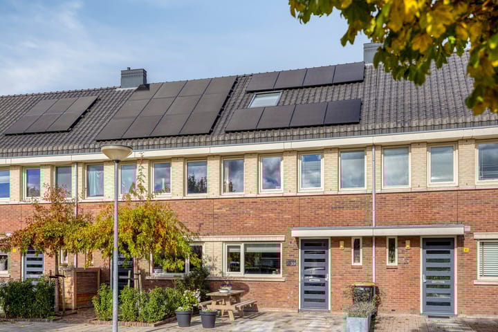 Photo 26 of Juttepeer 39