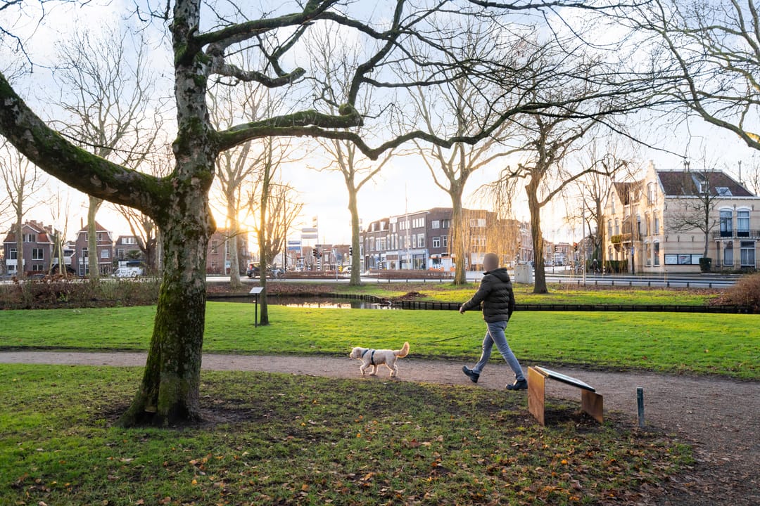 Foto 47 van Tweede Reedwarsstraat 54