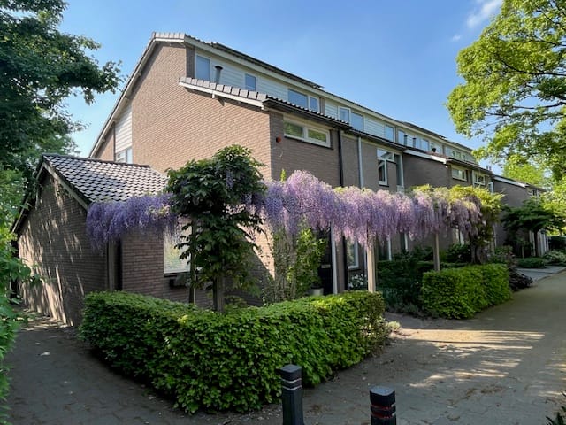 Foto 41 van De Vroente 168