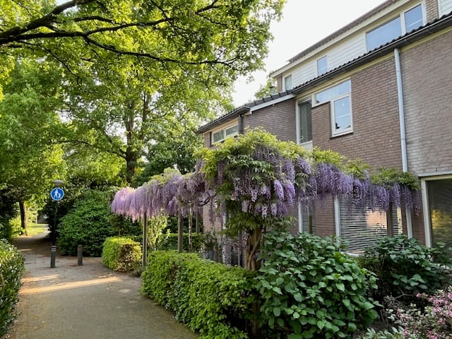 Foto 42 van De Vroente 168