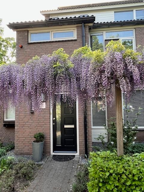 Foto 43 van De Vroente 168