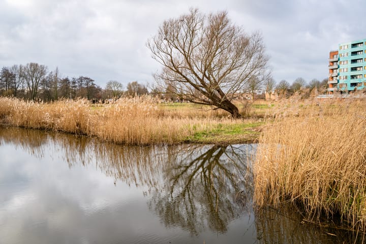 Foto 31 van Boekbinderstraat 19