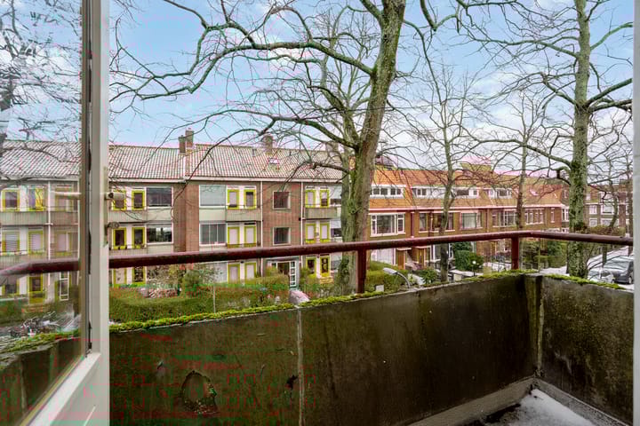 Foto 5 van Paulus Potterlaan 45