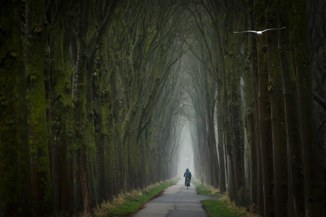 Foto 16 van Fregat 413