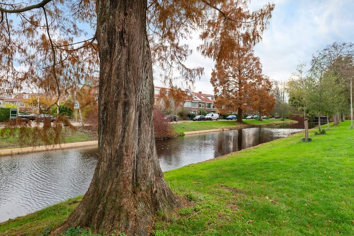 Foto 40 van Meelbeslaan 6