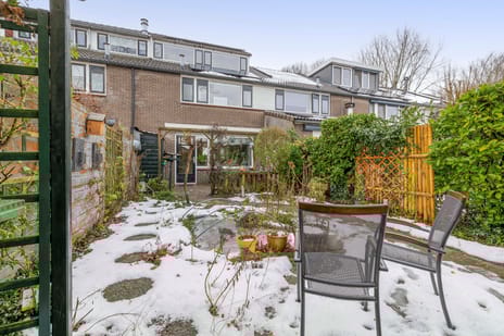 Weidezoom 51 tertiary image