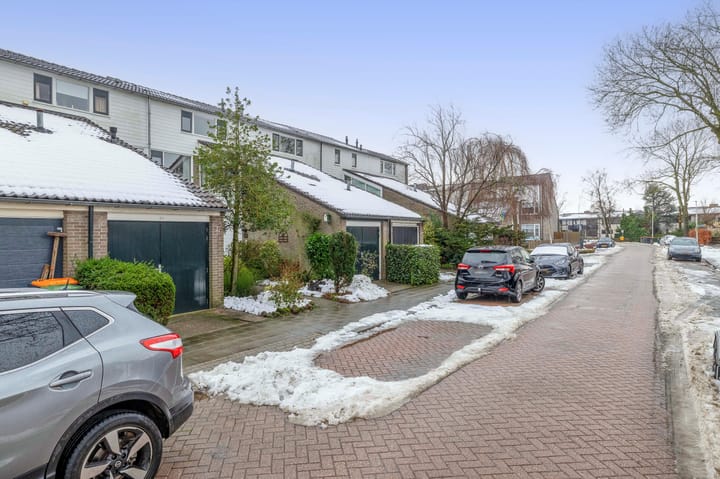 Foto 39 van Weidezoom 51