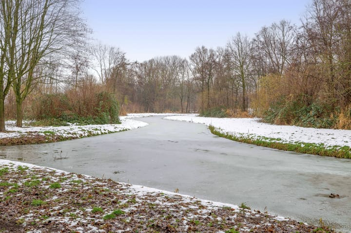 Foto 44 van Weidezoom 51